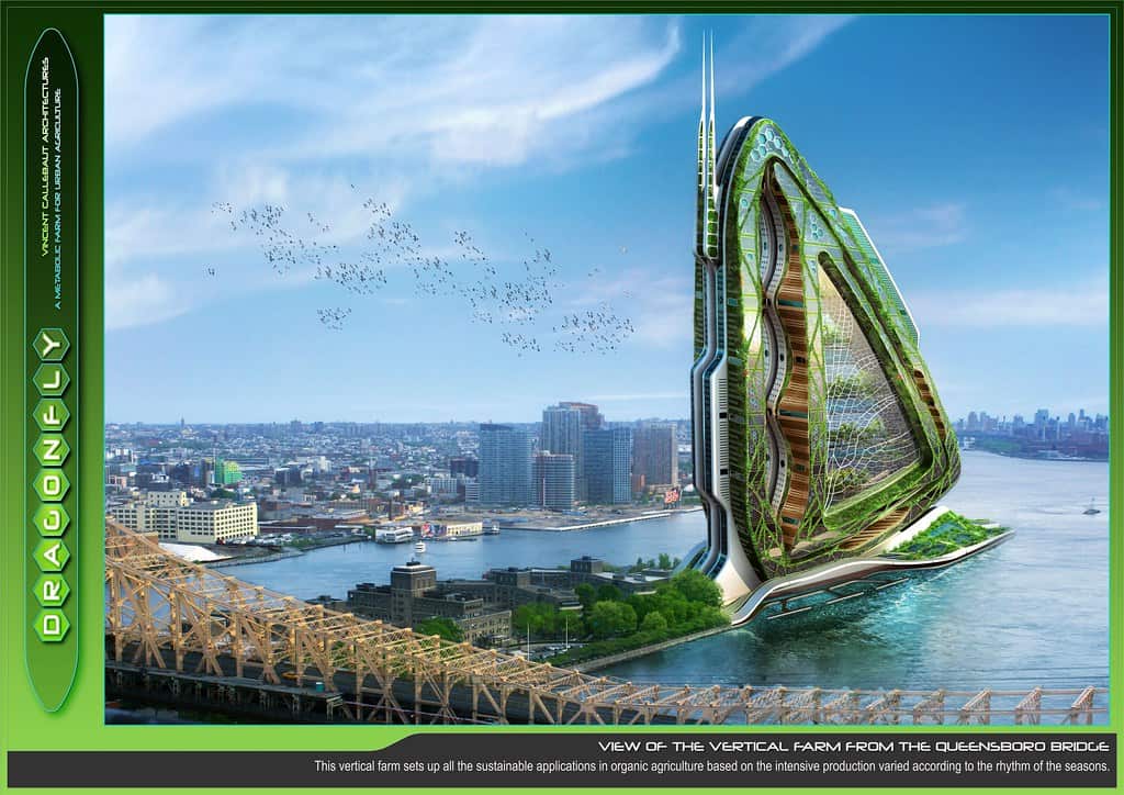 Biomimétisme : quand la nature inspire l’architecture - Design-Mat